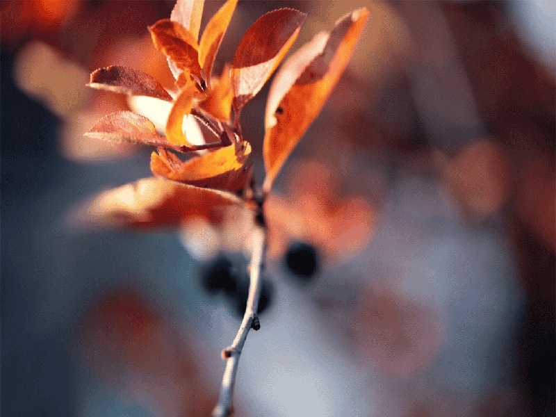 试管宝宝会闹吗，试管糖耐异常